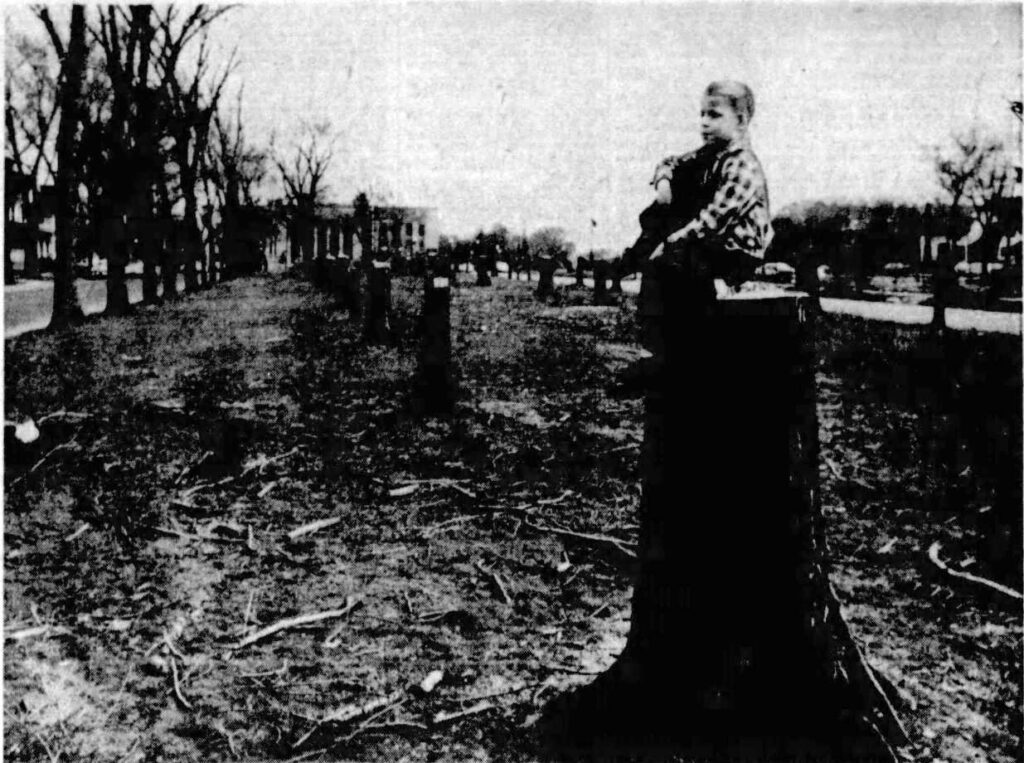 The Buffalo News (Buffalo, New York) · Fri, Apr 29, 1960 · Page 34
Child is William Bucierka. Humboldt Parkway looking toward Museum of Science from approximately Riley St.
